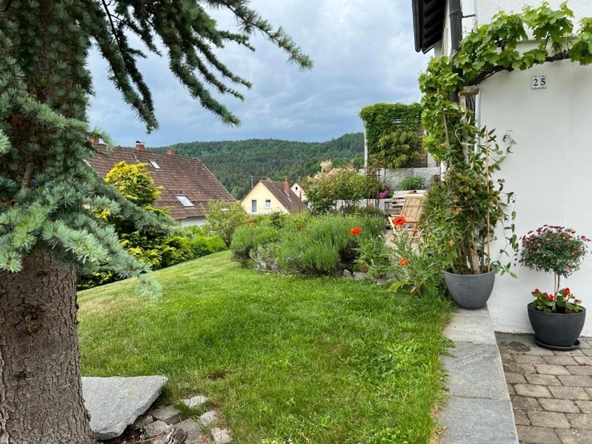 Ferienwohnung Jardin De Lavande Fridingen an der Donau Dış mekan fotoğraf
