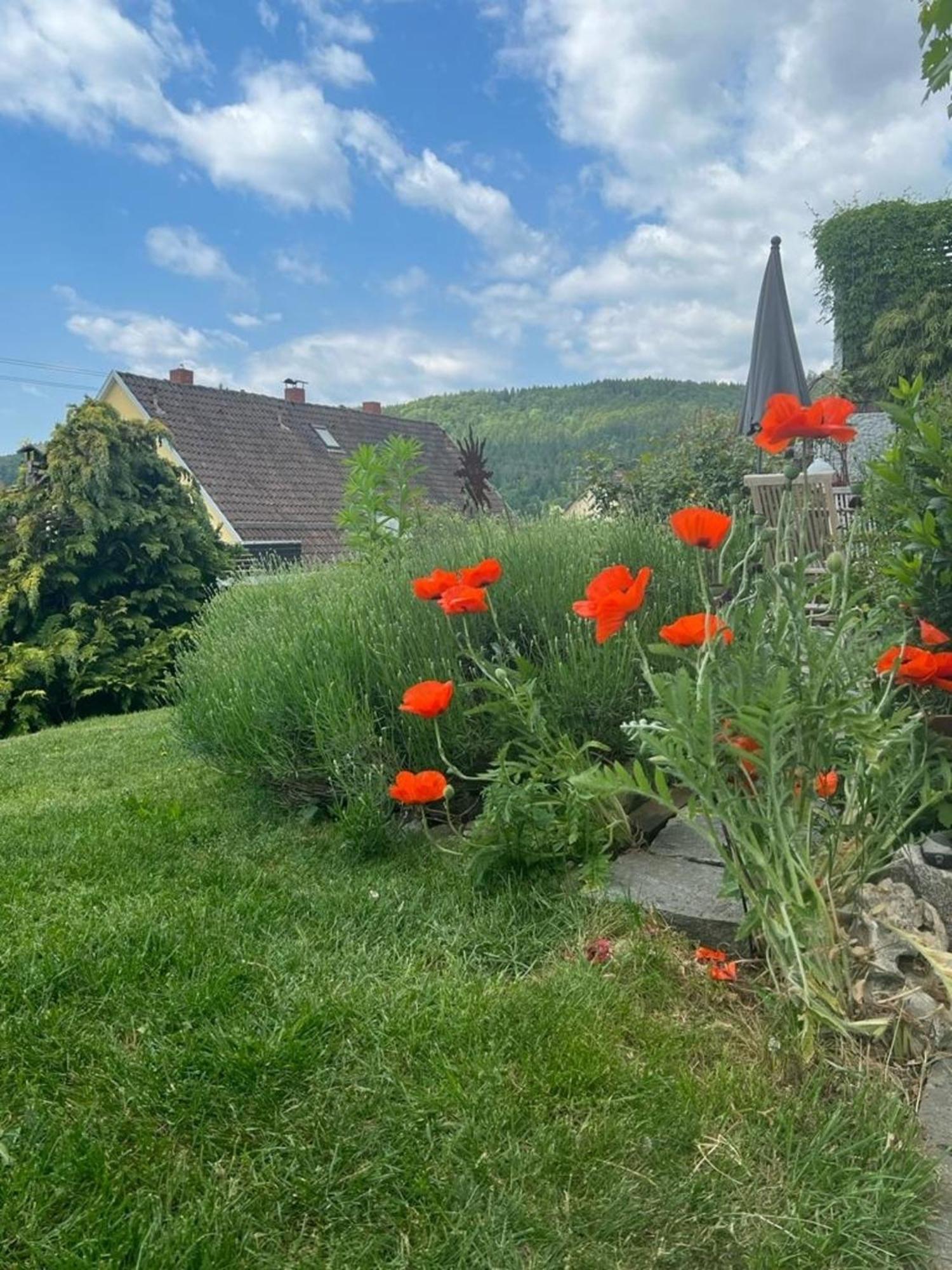 Ferienwohnung Jardin De Lavande Fridingen an der Donau Dış mekan fotoğraf