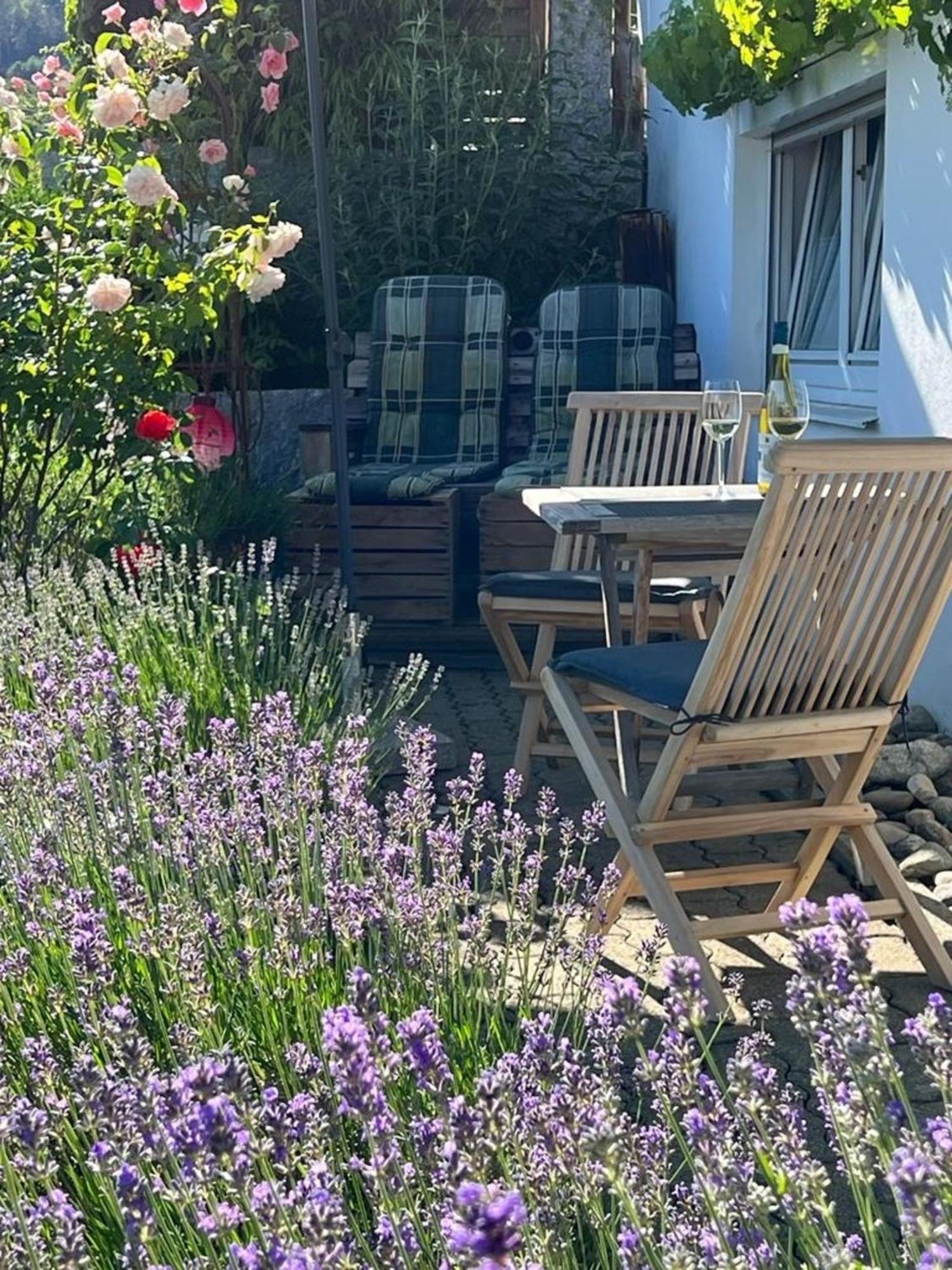 Ferienwohnung Jardin De Lavande Fridingen an der Donau Dış mekan fotoğraf